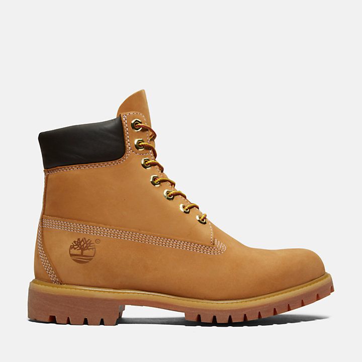 Timberland Premium6 “Waterproof” - Brown